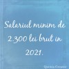 Salariu minim de 2.300 lei brut în 2021 Image 1